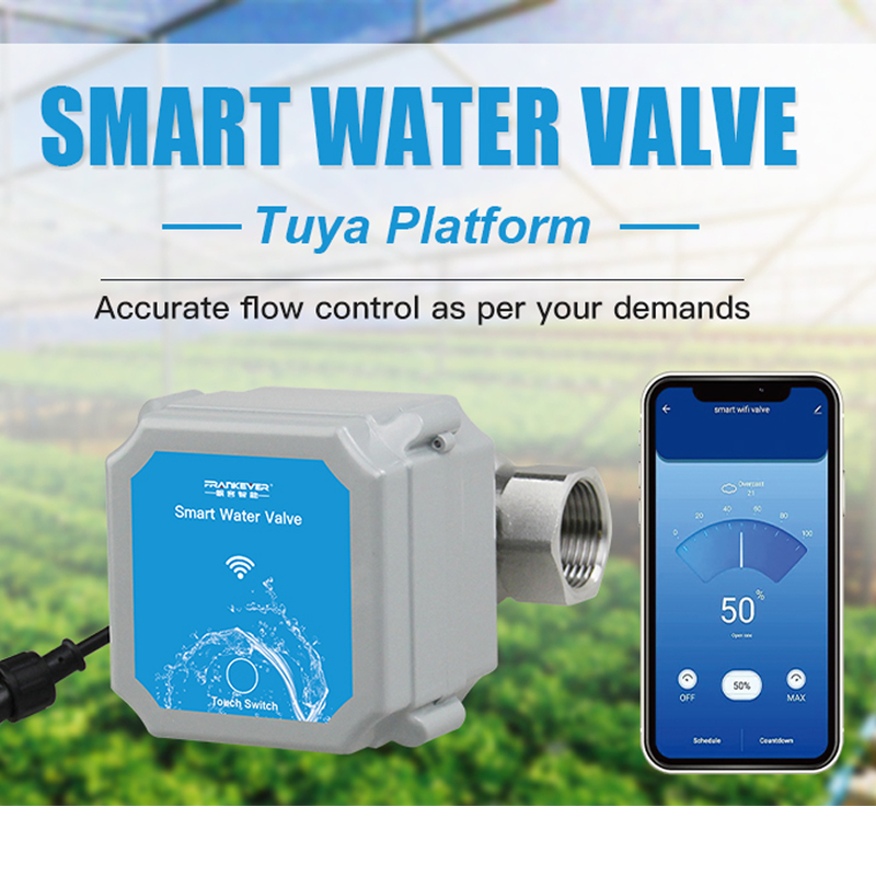 Tuya Zigbee Or Wifi Intelligen - đánh giá và giá Smart Garden Gate