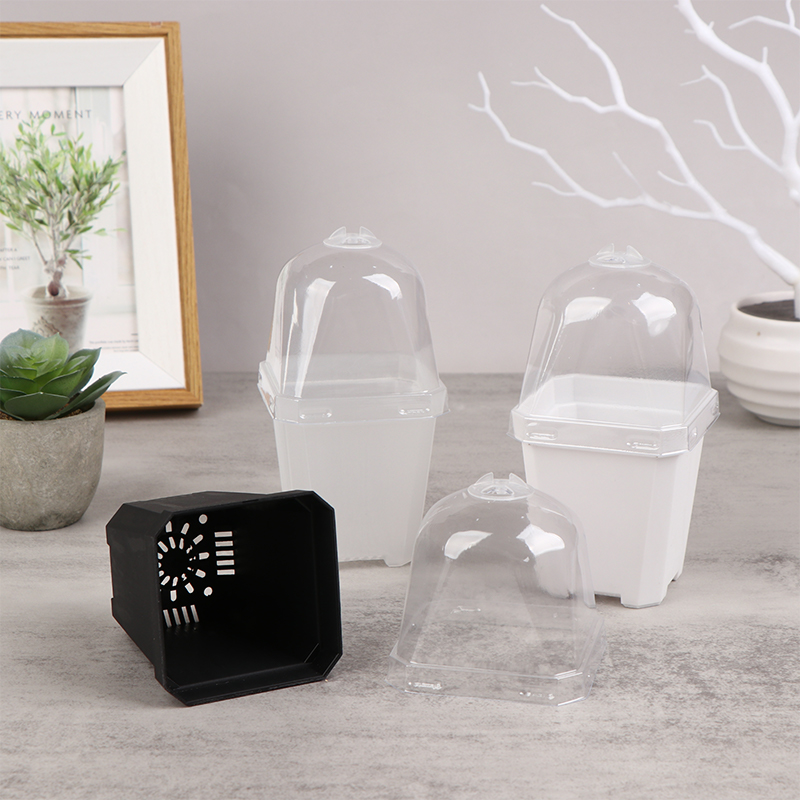 5Pcs Square Small Flower Pot N - đánh giá và giá Smart Garden Domes