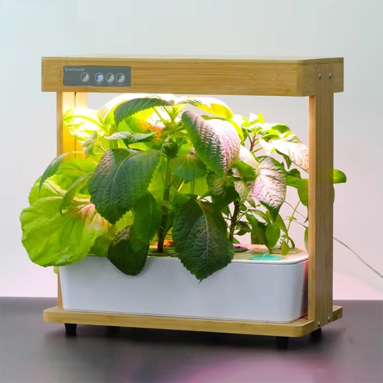 Bamboo Nature 8 Pods Home Hydr - đánh giá và giá Smart Pod Garden