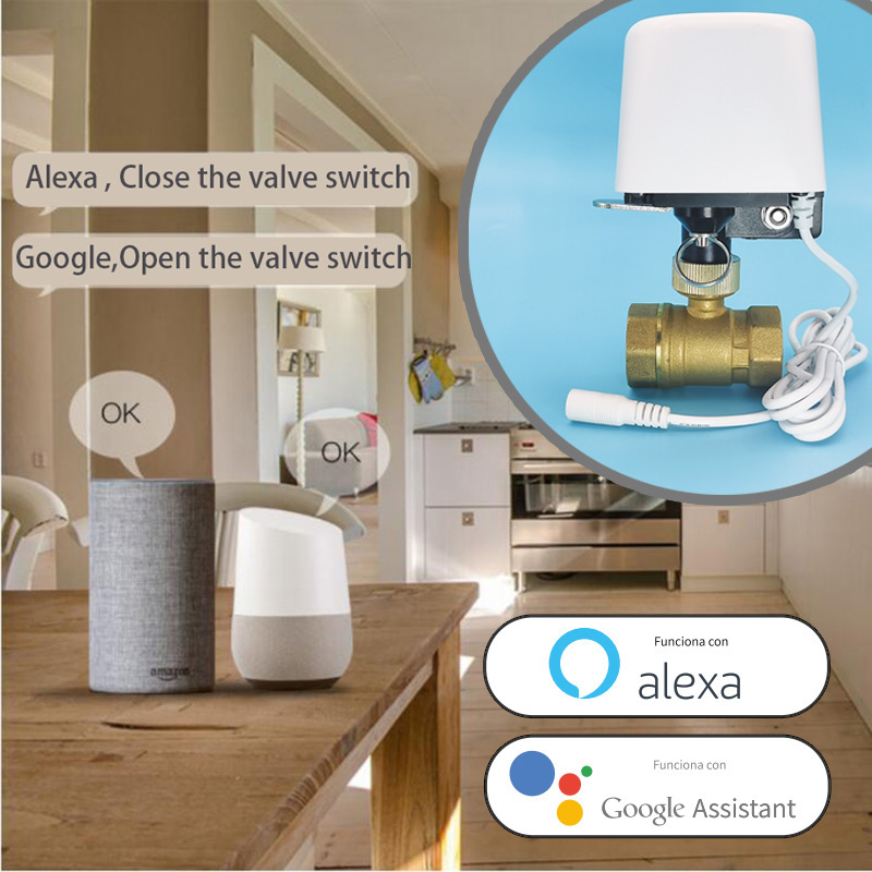 WIFI Smart Tuya Garden Waterin - đánh giá và giá Smart Garden Keeper