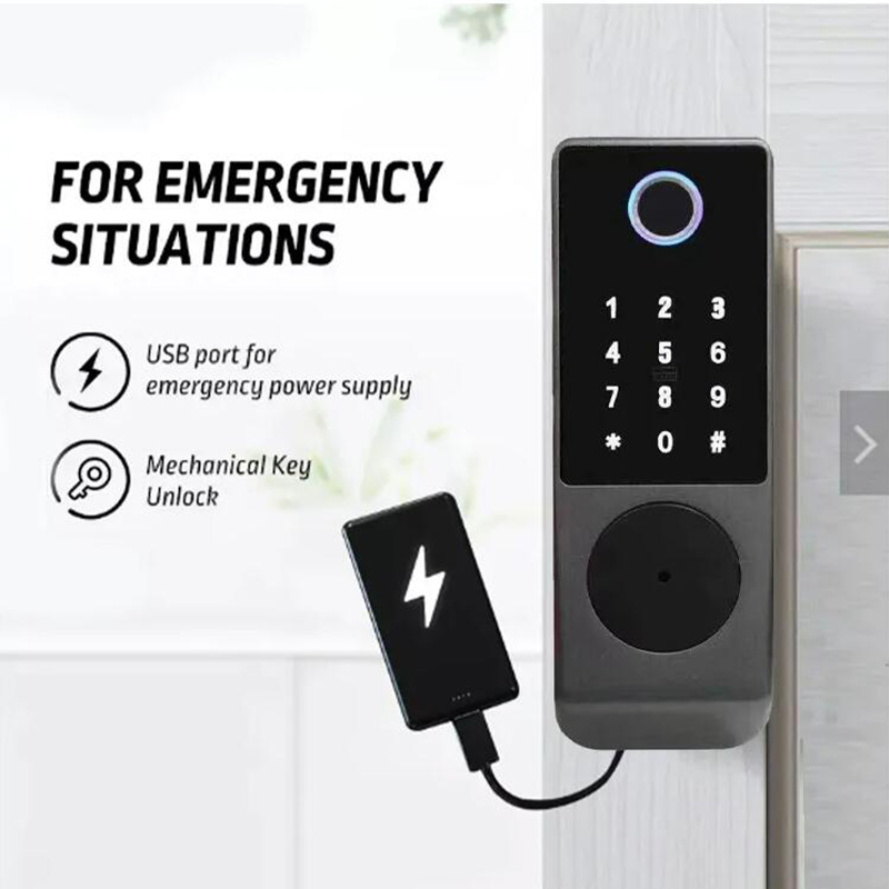 Wifi Tuya Smart Lock Waterproo - đánh giá và giá Smart Garden Gate