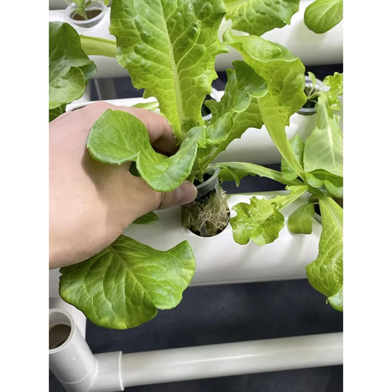 108 Holes Hydroponic Grow Kit  - đánh giá và giá Aquaponics Home Kit