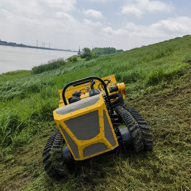 Remote Control Crawler Forestr - đánh giá và giá Smart Garden Trade